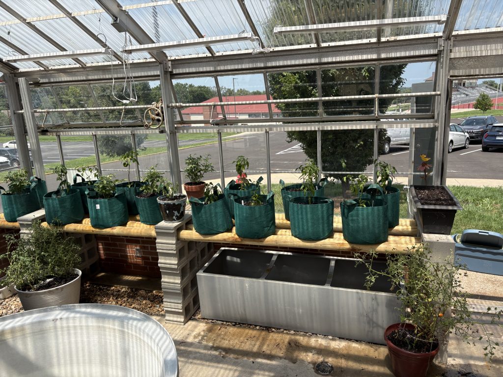 image of the interior of a greenhouse