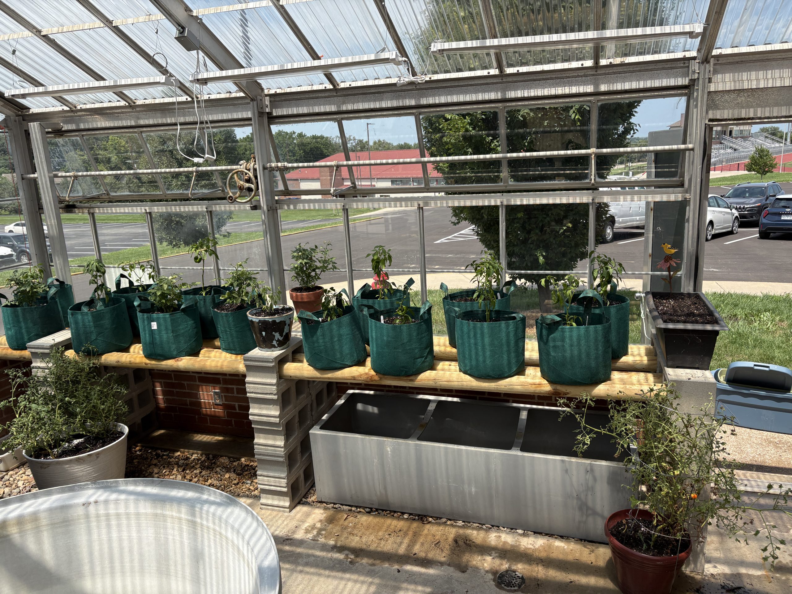 image of the interior of a greenhouse