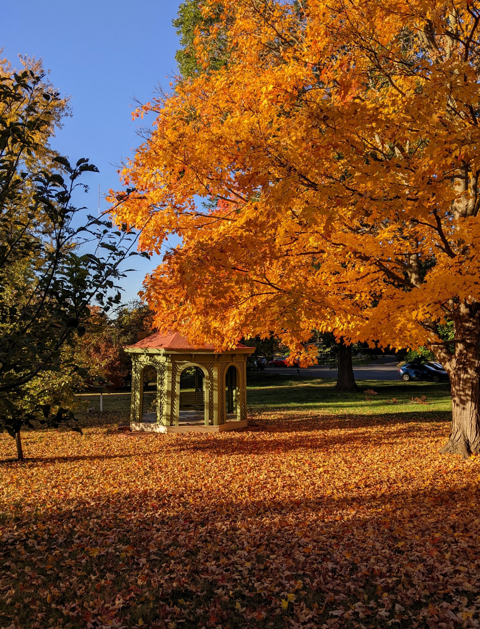 Photo by Tonya Crawford, Archivist