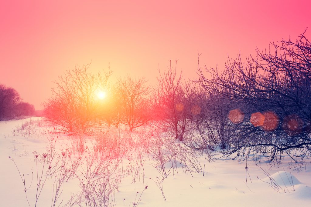 image of winter morning in the countryside